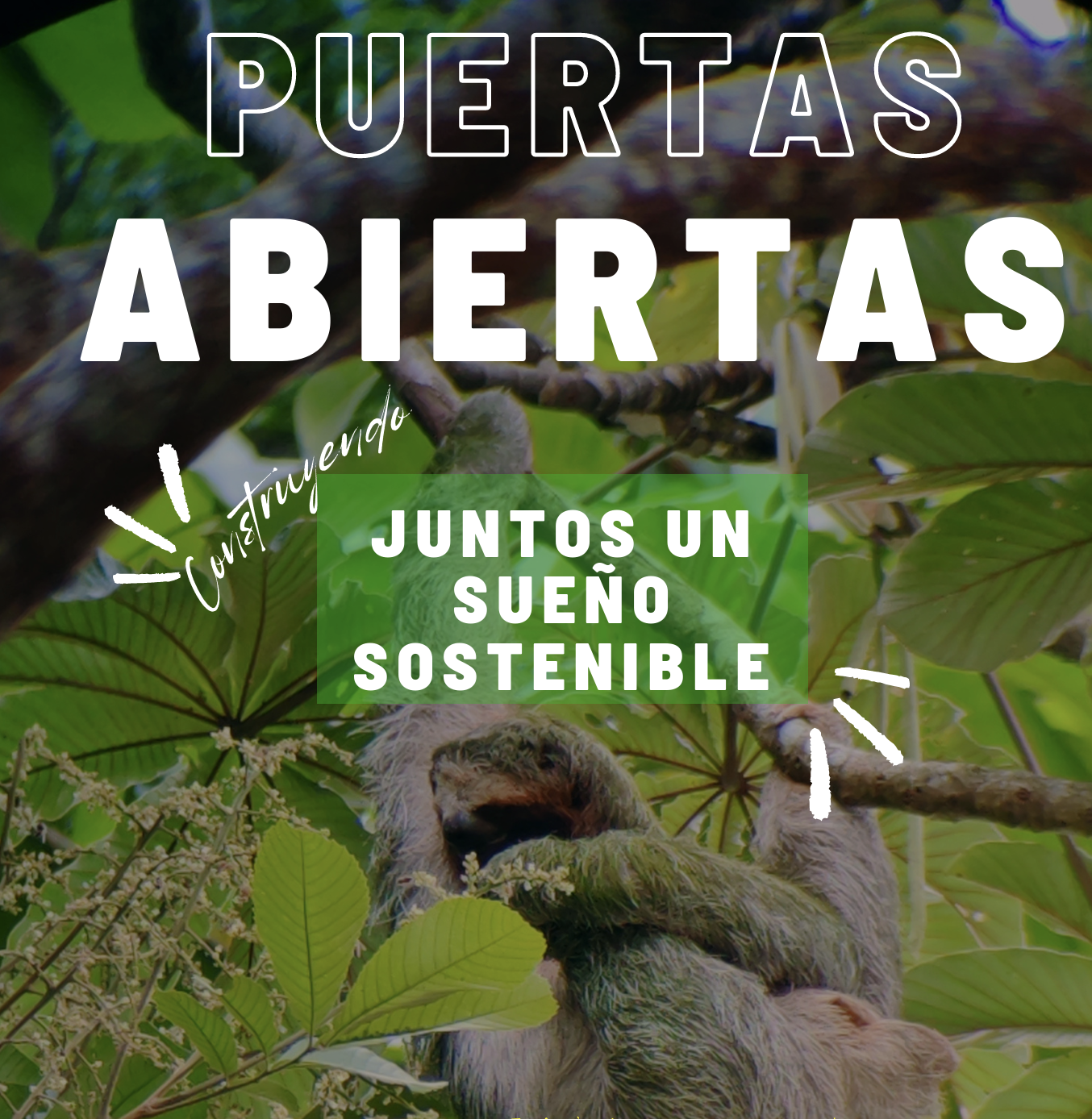 puertas-abiertas