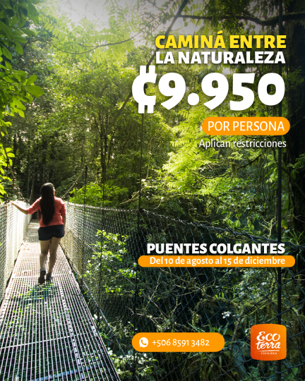 6. Puentes#3 (3 octubre)