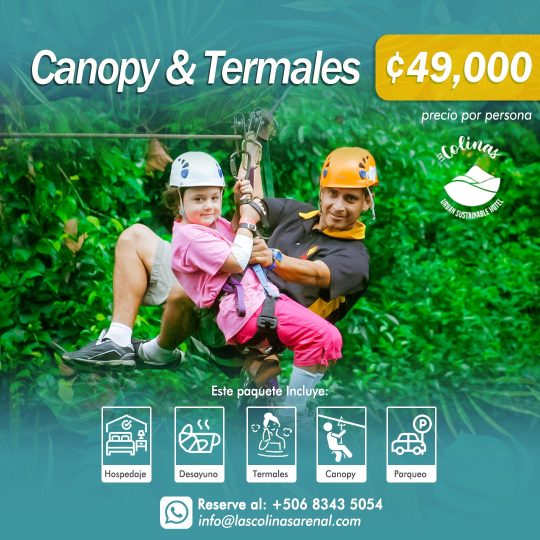 Canopy